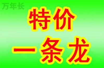 莆田福建省莆田市城厢区周边墓地价格政策